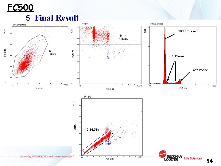 FC 500 5. Final Result G 0 G 1 Phase S Phase G 2