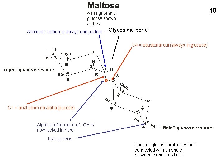 Maltose 10 with right-hand glucose shown as beta Anomeric carbon is always one partner