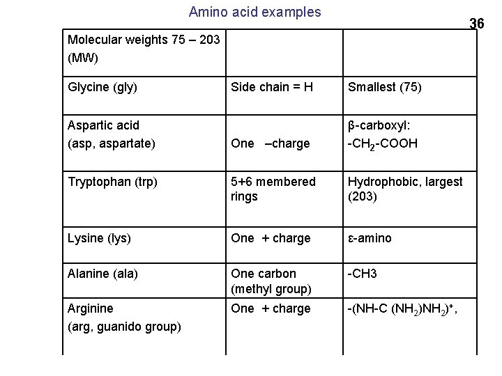 Amino acid examples 36 Molecular weights 75 – 203 (MW) Glycine (gly) Side chain