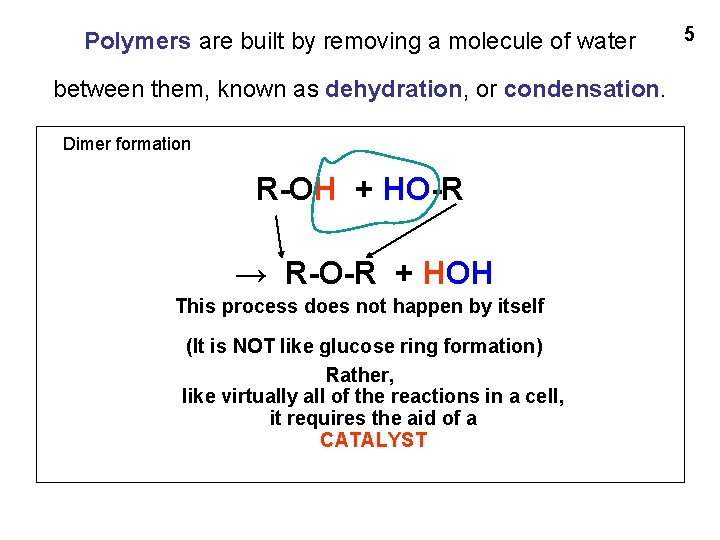 Polymers are built by removing a molecule of water between them, known as dehydration,