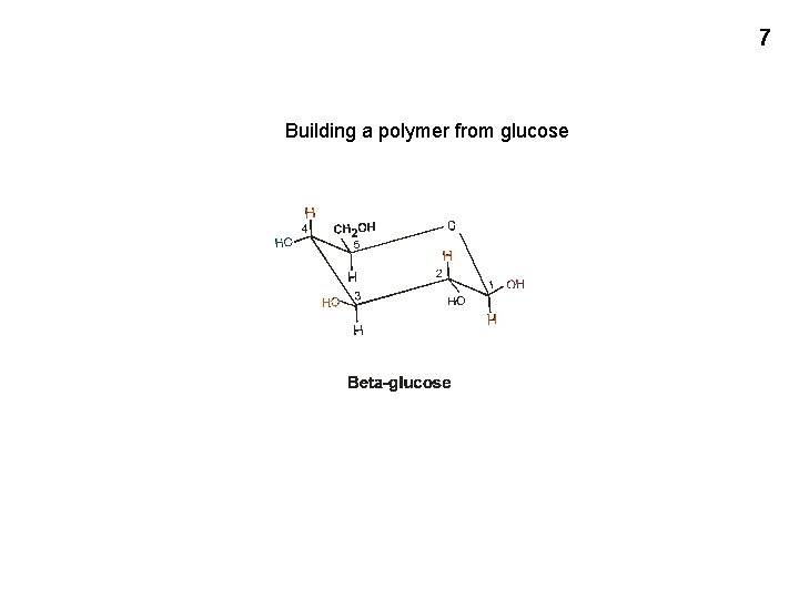 7 Building a polymer from glucose 