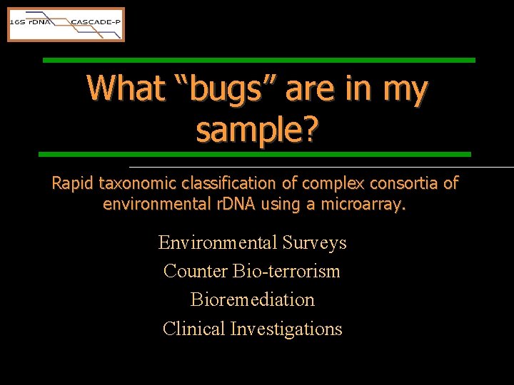 What “bugs” are in my sample? Rapid taxonomic classification of complex consortia of environmental