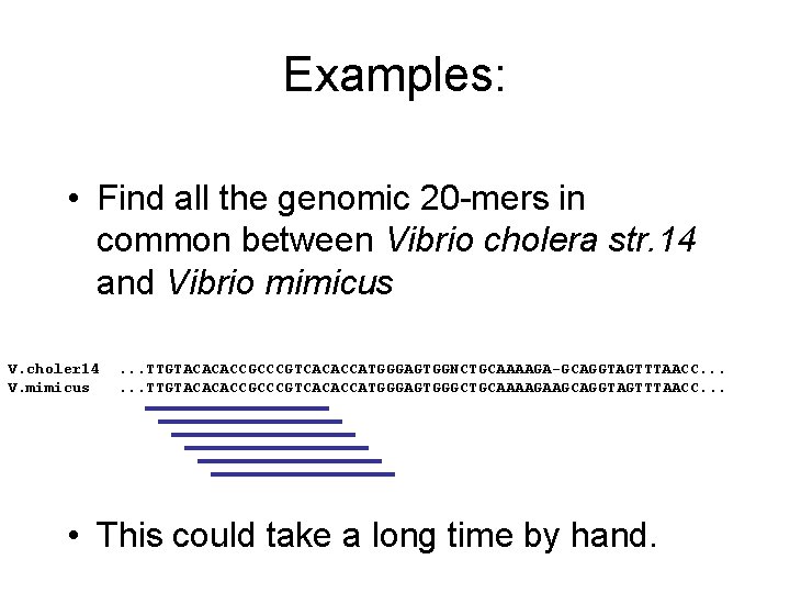 Examples: • Find all the genomic 20 -mers in common between Vibrio cholera str.