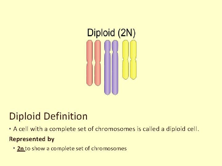 Diploid Definition • A cell with a complete set of chromosomes is called a