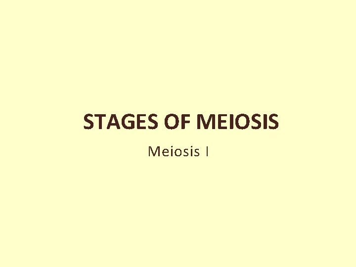 STAGES OF MEIOSIS Meiosis I 