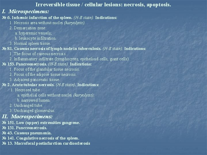 Irreversible tissue / cellular lesions: necrosis, apoptosis. I. Microspecimens: № 6. Ischemic infarction of