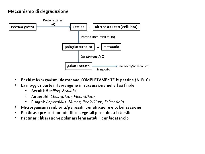 Meccanismo di degradazione Pectina grezza Protopectinasi (A) Pectina + Altri costituenti (cellulosa) Pectino-metilesterasi (B)