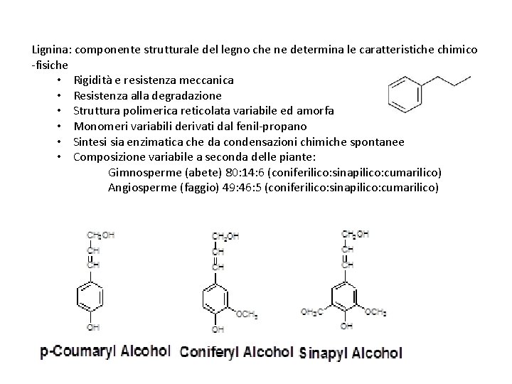 Lignina: componente strutturale del legno che ne determina le caratteristiche chimico -fisiche • Rigidità