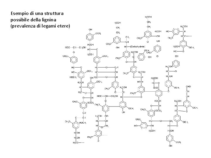 Esempio di una struttura possibile della lignina (prevalenza di legami etere) 