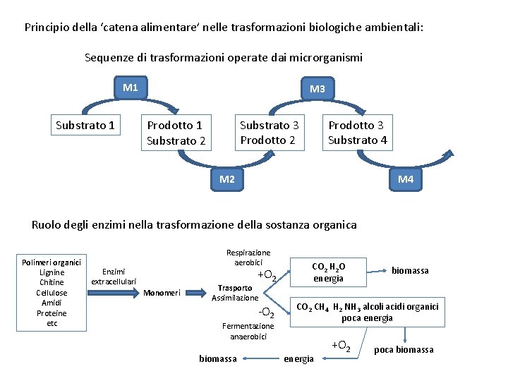 Principio della ‘catena alimentare’ nelle trasformazioni biologiche ambientali: Sequenze di trasformazioni operate dai microrganismi