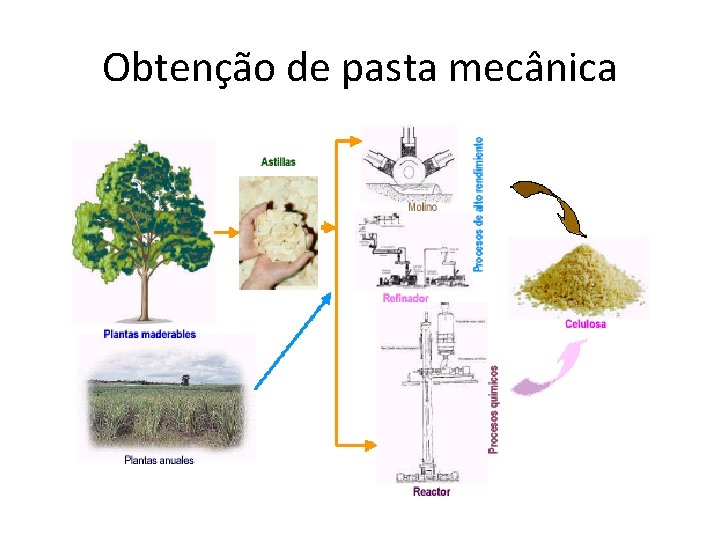 Obtenção de pasta mecânica 