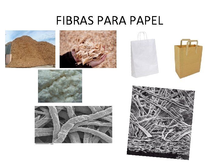 FIBRAS PARA PAPEL 