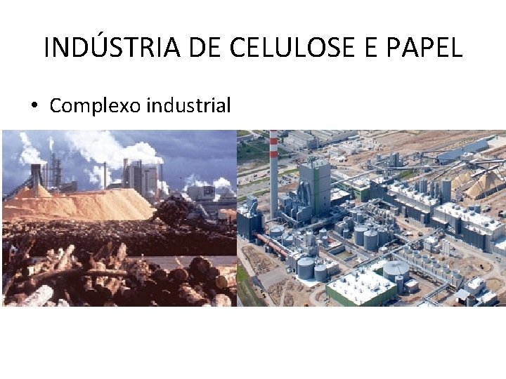INDÚSTRIA DE CELULOSE E PAPEL • Complexo industrial 