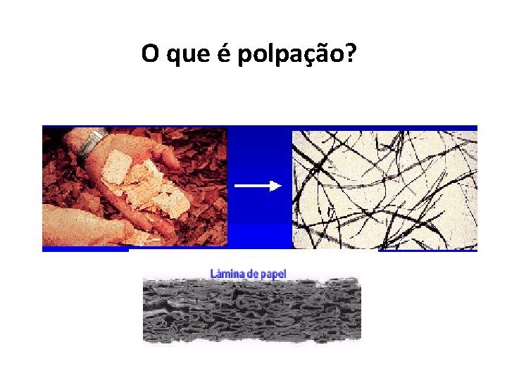 O que é polpação? 