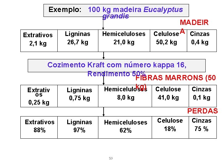 Exemplo: 100 kg madeira Eucalyptus grandis MADEIR Ligninas Hemiceluloses Celulose A Cinzas Extrativos 2,