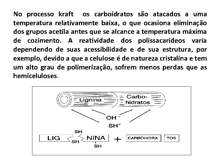 No processo kraft os carboidratos são atacados a uma temperatura relativamente baixa, o que