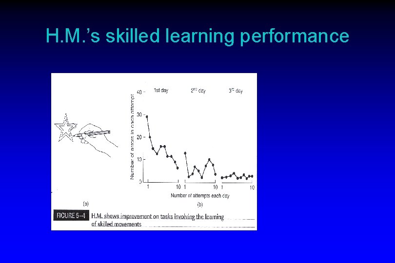 H. M. ’s skilled learning performance 