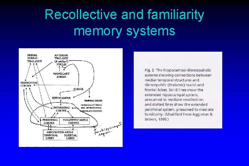 Recollective and familiarity memory systems 