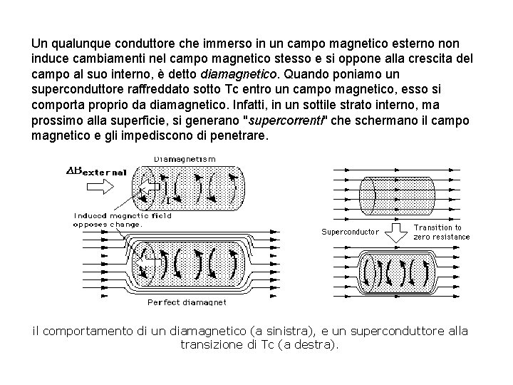 Un qualunque conduttore che immerso in un campo magnetico esterno non induce cambiamenti nel