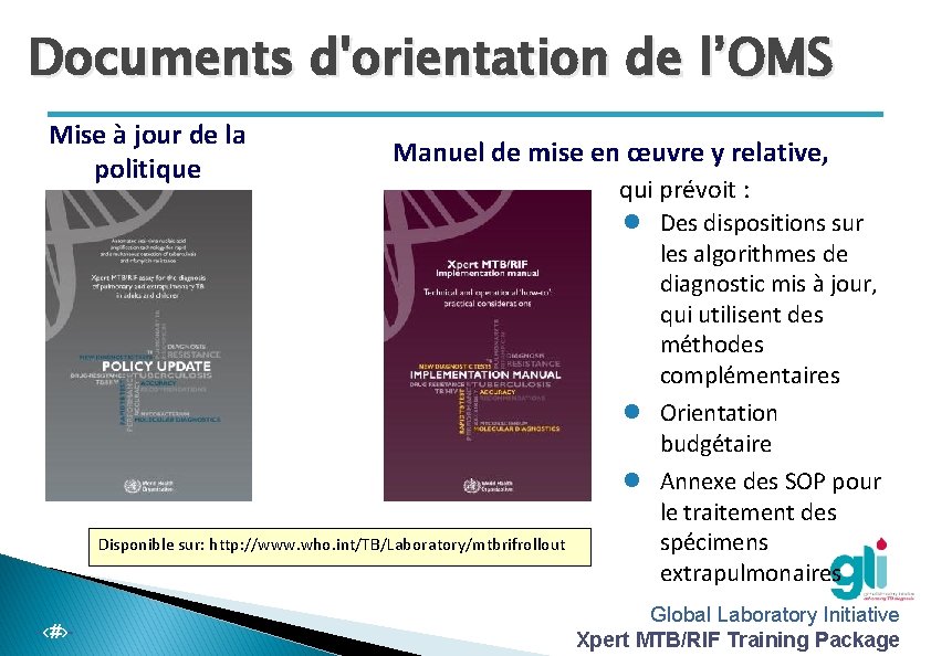 Documents d'orientation de l’OMS Mise à jour de la politique Manuel de mise en