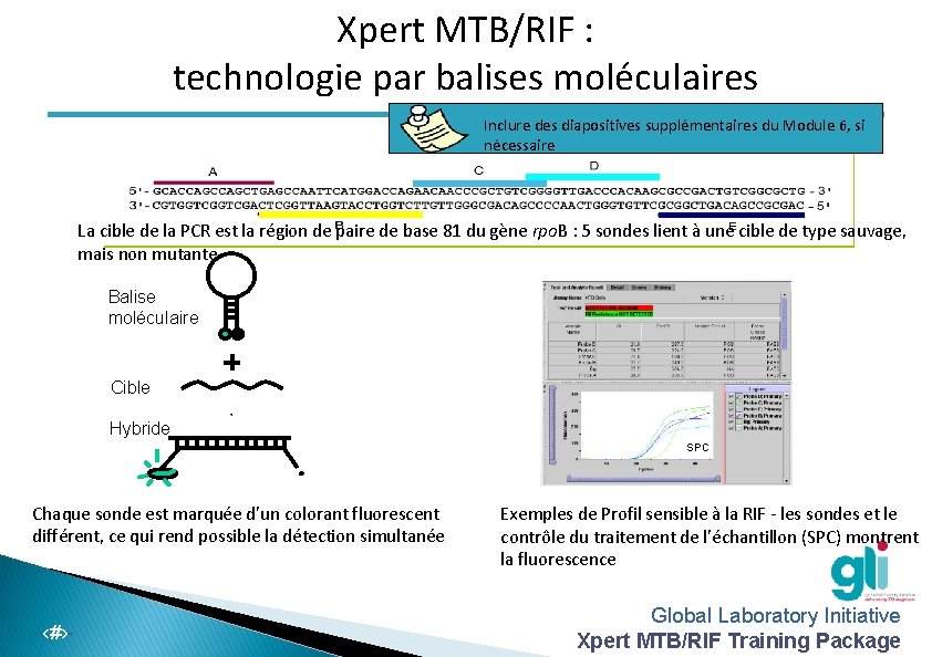 Xpert MTB/RIF : technologie par balises moléculaires Inclure des diapositives supplémentaires du Module 6,