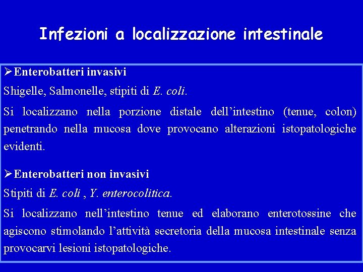 Infezioni a localizzazione intestinale ØEnterobatteri invasivi Shigelle, Salmonelle, stipiti di E. coli. Si localizzano