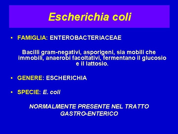 Escherichia coli • FAMIGLIA: ENTEROBACTERIACEAE Bacilli gram-negativi, asporigeni, sia mobili che immobili, anaerobi facoltativi,
