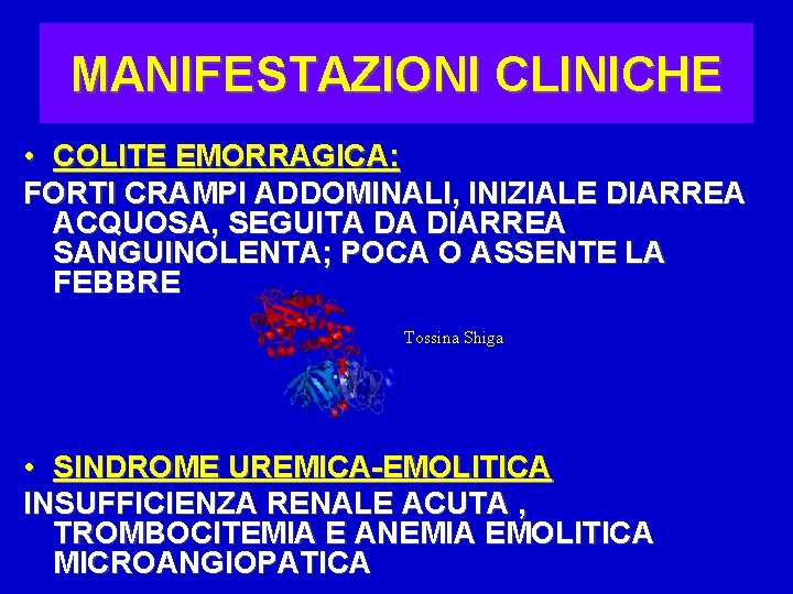 MANIFESTAZIONI CLINICHE • COLITE EMORRAGICA: FORTI CRAMPI ADDOMINALI, INIZIALE DIARREA ACQUOSA, SEGUITA DA DIARREA