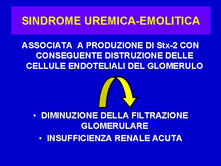 SINDROME UREMICA-EMOLITICA ASSOCIATA A PRODUZIONE DI Stx-2 CONSEGUENTE DISTRUZIONE DELLE CELLULE ENDOTELIALI DEL GLOMERULO