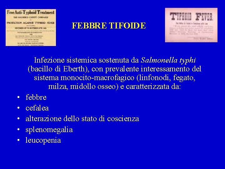 FEBBRE TIFOIDE • • • Infezione sistemica sostenuta da Salmonella typhi (bacillo di Eberth),