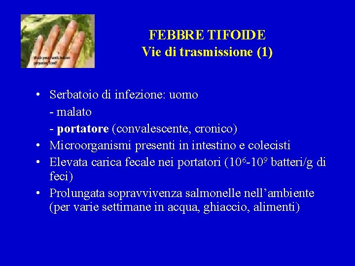 FEBBRE TIFOIDE Vie di trasmissione (1) • Serbatoio di infezione: uomo - malato -