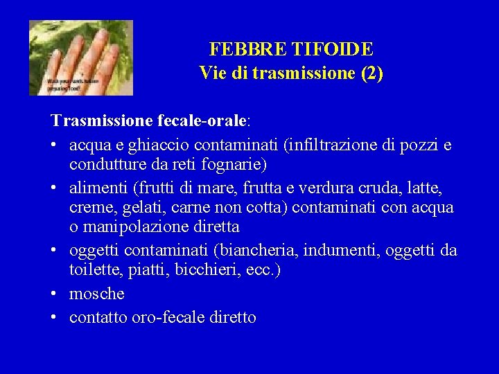 FEBBRE TIFOIDE Vie di trasmissione (2) Trasmissione fecale-orale: • acqua e ghiaccio contaminati (infiltrazione