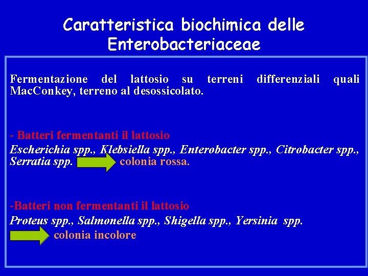 Caratteristica biochimica delle Enterobacteriaceae Fermentazione del lattosio su terreni Mac. Conkey, terreno al desossicolato.