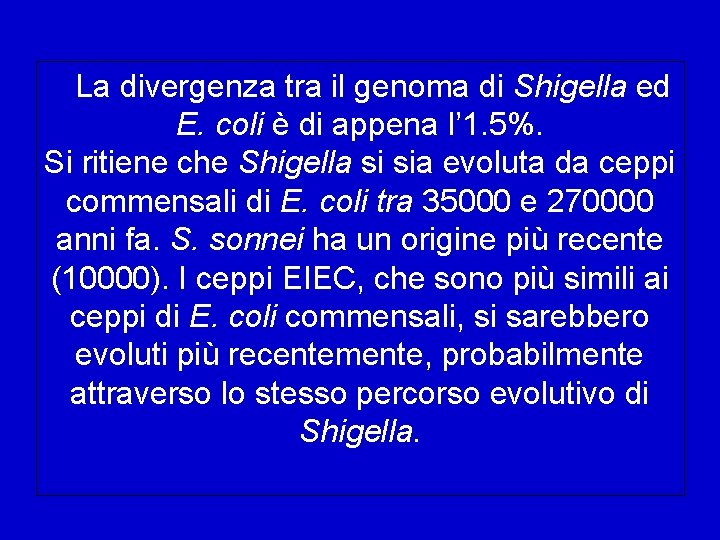  La divergenza tra il genoma di Shigella ed E. coli è di appena