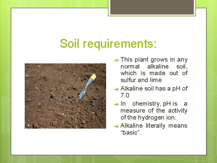 Soil requirements: This plant grows in any normal alkaline soil, which is made out