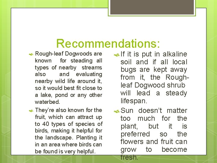 Recommendations: Rough-leaf Dogwoods are known for steading all types of nearby streams also and