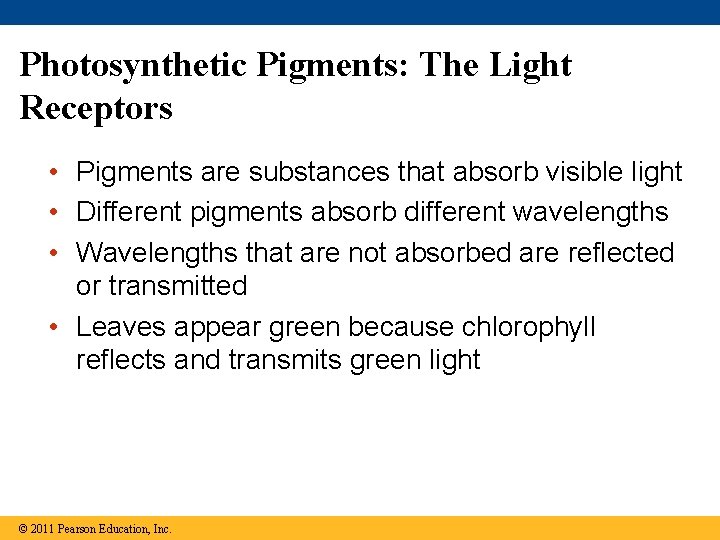 Photosynthetic Pigments: The Light Receptors • Pigments are substances that absorb visible light •