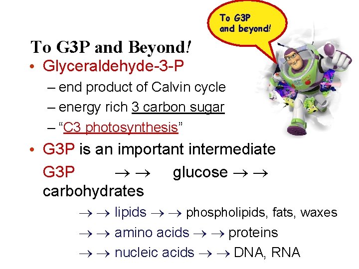 To G 3 P and beyond! To G 3 P and Beyond! • Glyceraldehyde-3