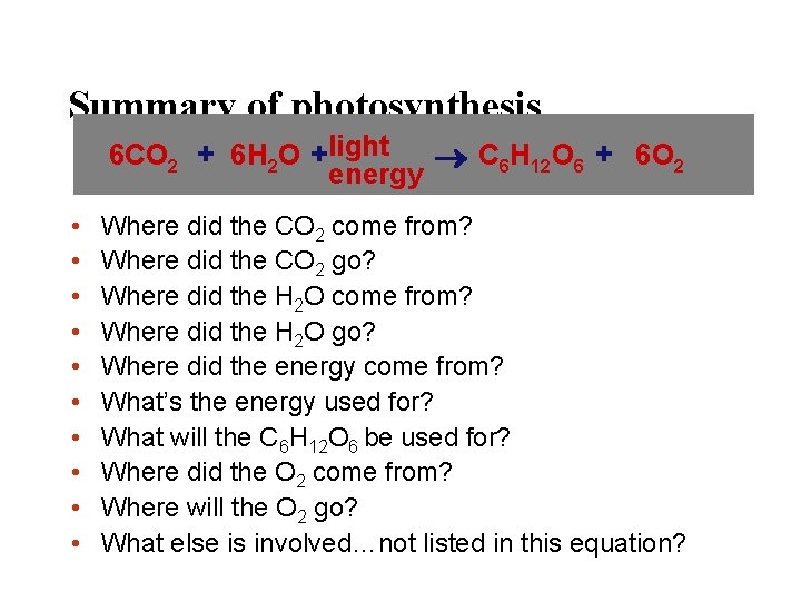 Summary of photosynthesis 6 CO 2 + 6 H 2 O +light C 6