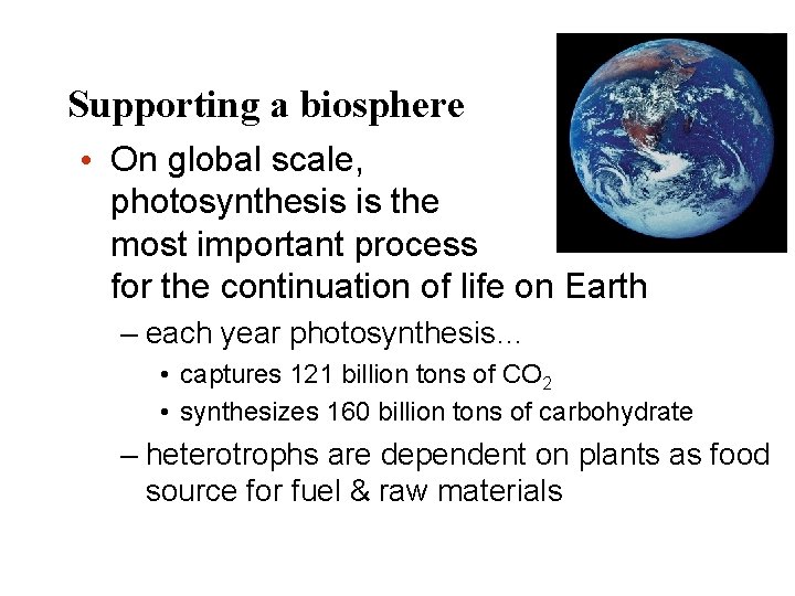 Supporting a biosphere • On global scale, photosynthesis is the most important process for