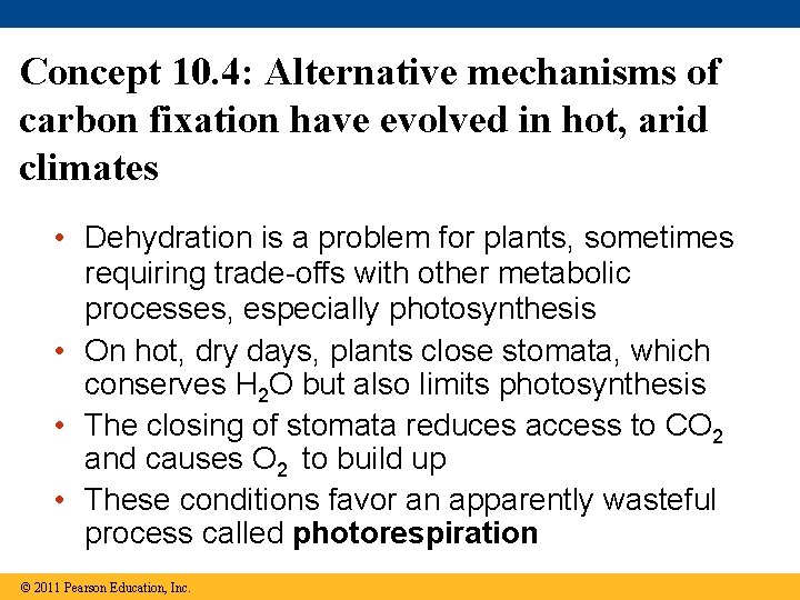 Concept 10. 4: Alternative mechanisms of carbon fixation have evolved in hot, arid climates