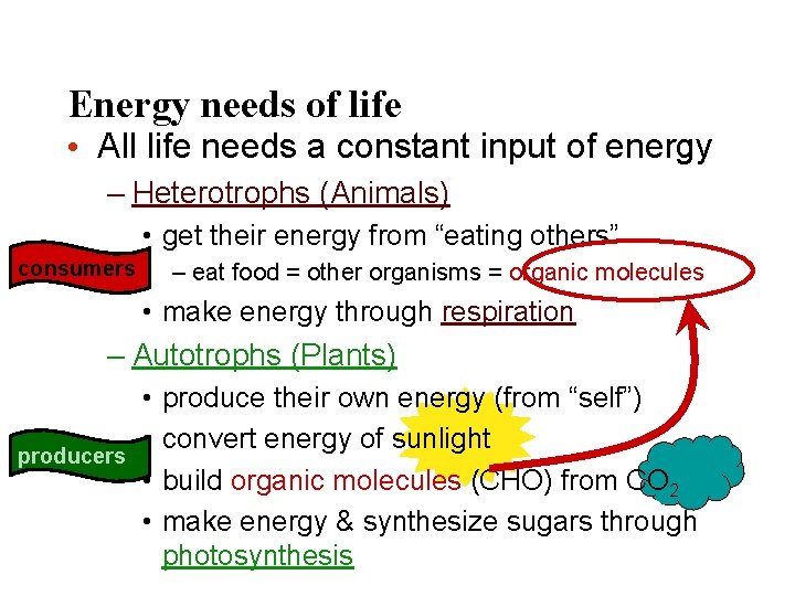 Energy needs of life • All life needs a constant input of energy –