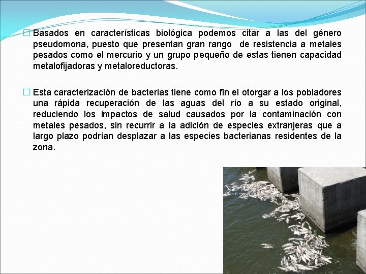 � Basados en características biológica podemos citar a las del género pseudomona, puesto que