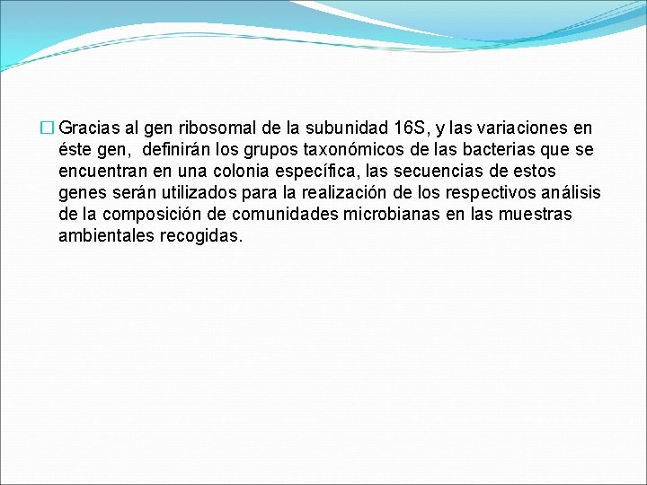 � Gracias al gen ribosomal de la subunidad 16 S, y las variaciones en