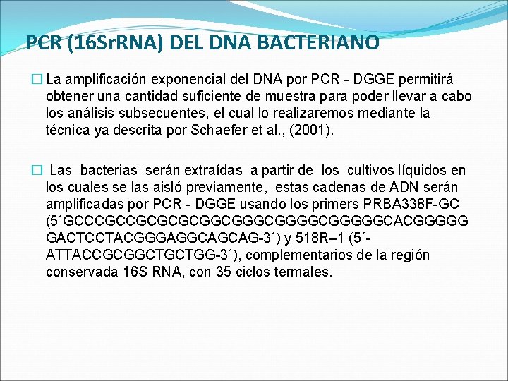 PCR (16 Sr. RNA) DEL DNA BACTERIANO � La amplificación exponencial del DNA por