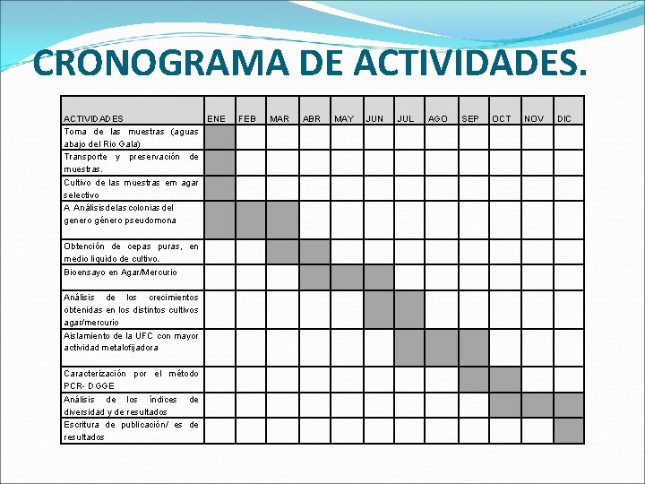 CRONOGRAMA DE ACTIVIDADES. ACTIVIDADES Toma de las muestras (aguas abajo del Rio Gala) Transporte