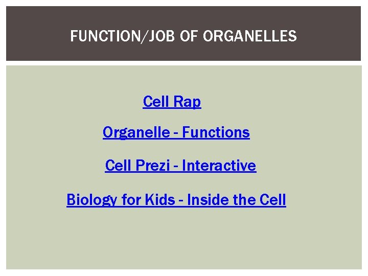 FUNCTION/JOB OF ORGANELLES Cell Rap Organelle - Functions Cell Prezi - Interactive Biology for