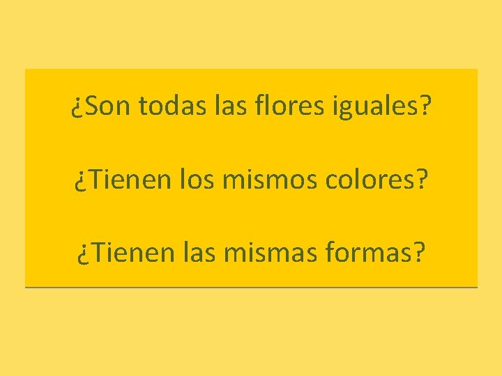 ¿Son todas las flores iguales? ¿Tienen los mismos colores? ¿Tienen las mismas formas? 