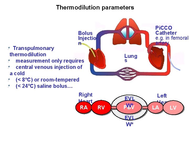 A. Thermodilution parameters Pi. CCO Catheter e. g. in femoral artery Bolus Injectio n