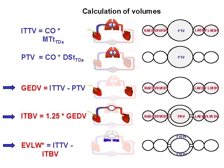 Calculation of volumes ITTV = CO * MTt. TDa RAEDV RVEDV PTV = CO